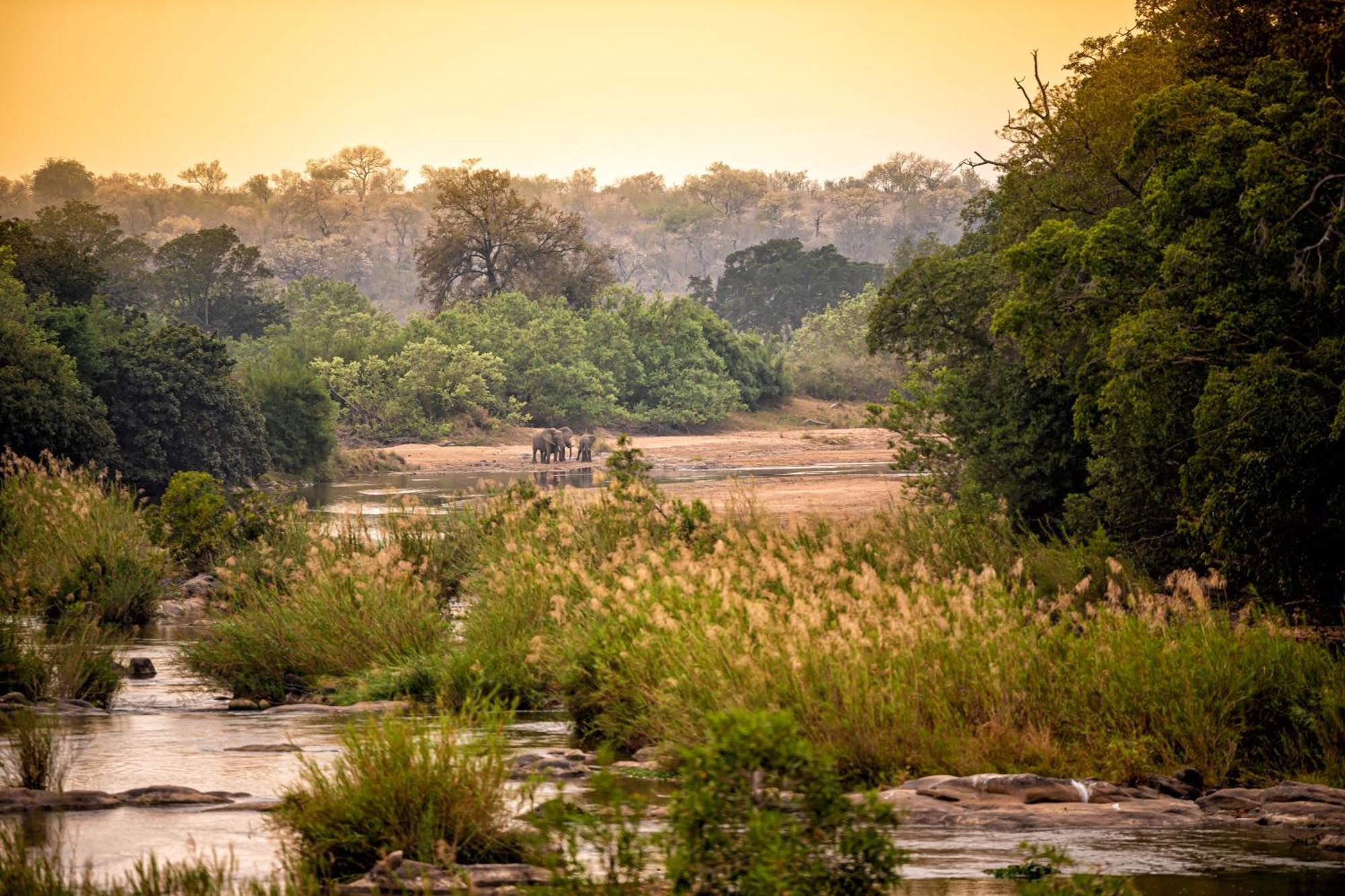 Rhino Post Safari Lodge Skukuza Esterno foto